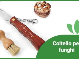 Coltello per funghi Coltello per funghi