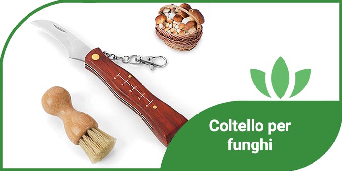 Coltello per funghi