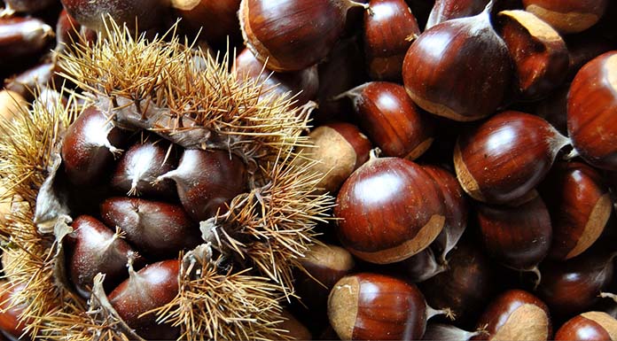 Come cucinare le castagne in padella