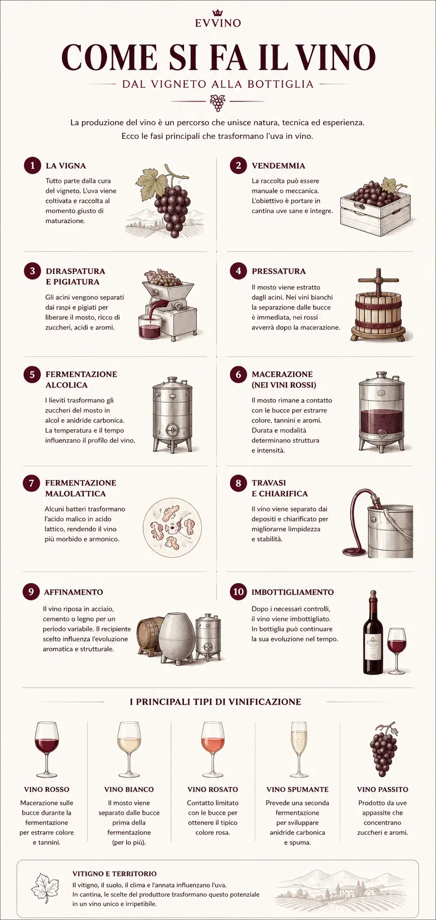 guida su come si fa il vino