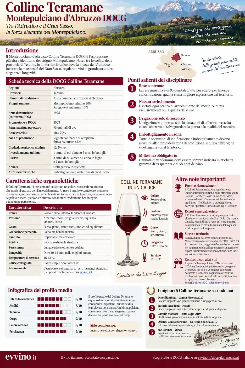 scheda Colline Teramane Montepulciano d’Abruzzo DOCG